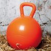 Speelbal voor paarden