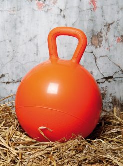 Speelbal voor paarden