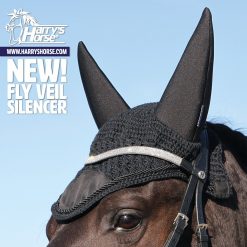 Alternative view of Oornetje Silencer