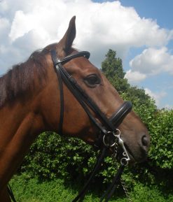 Stang en Trens Hoofdstel