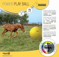 Maximus Power Play Ball