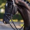 HB-SHOWTIME-HOOFDSTEL-STANDAARD