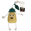 EXCELLENT-HORSE-FOODIE-FRIENDS-PINEAPPLE