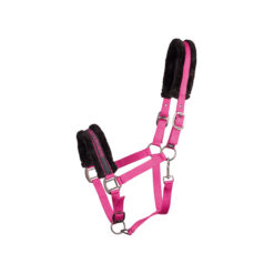 HARRYS-HORSE-LYRICS-QUOTES-FUCHSIA
